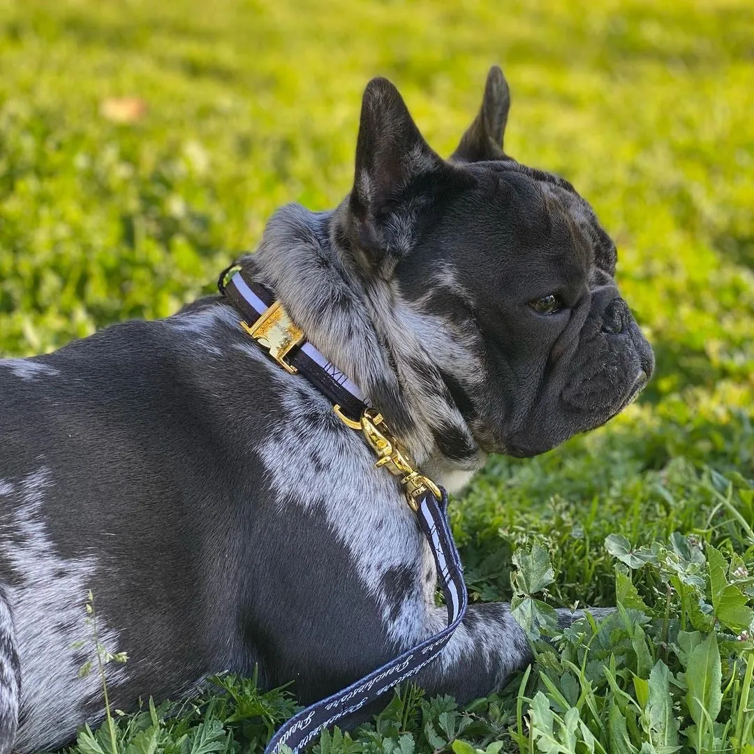 Frenchiestore Breakaway Dog Collar | Black Varsity