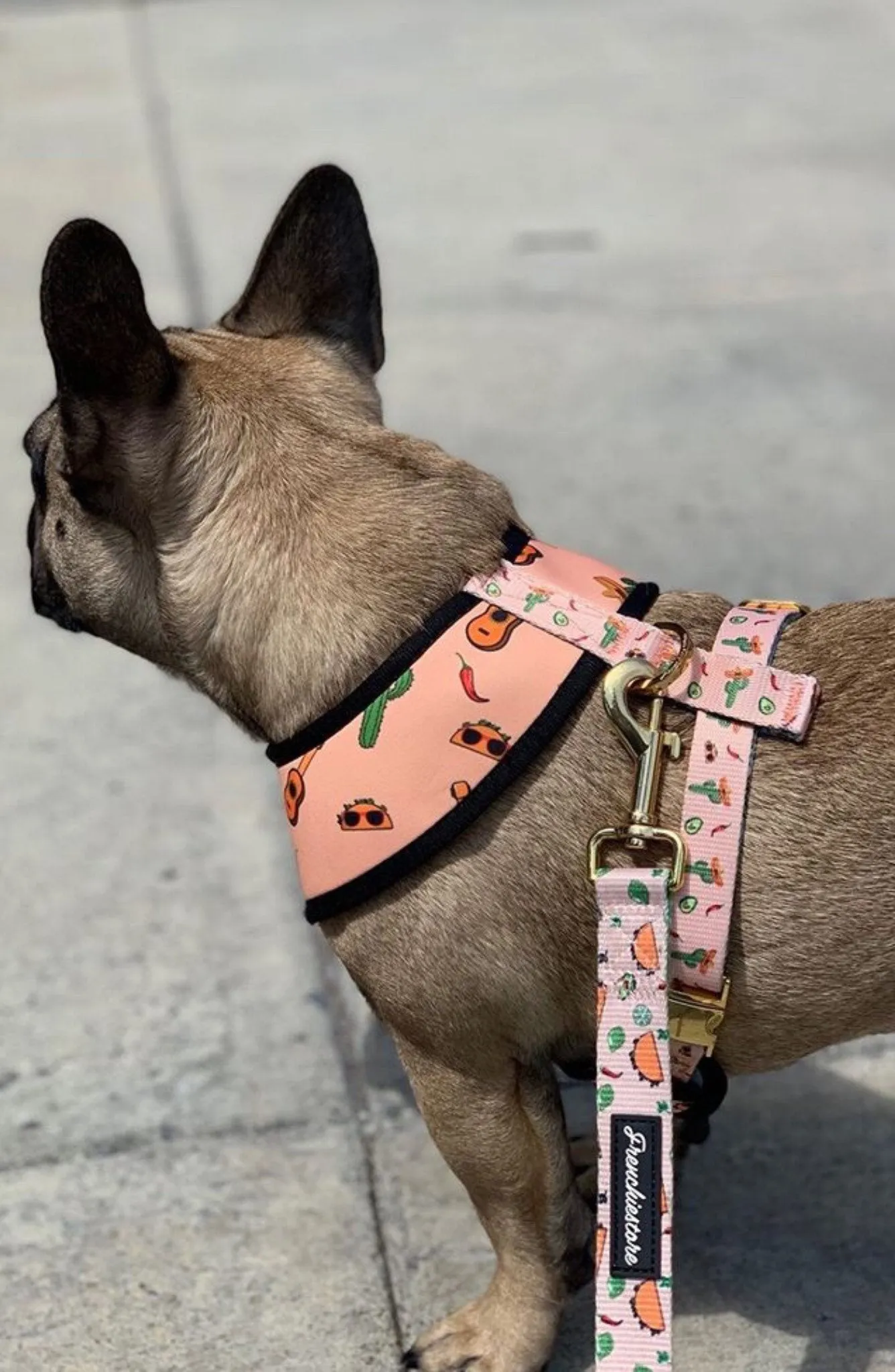 Frenchiestore Dog Luxury Leash | Taco bout it