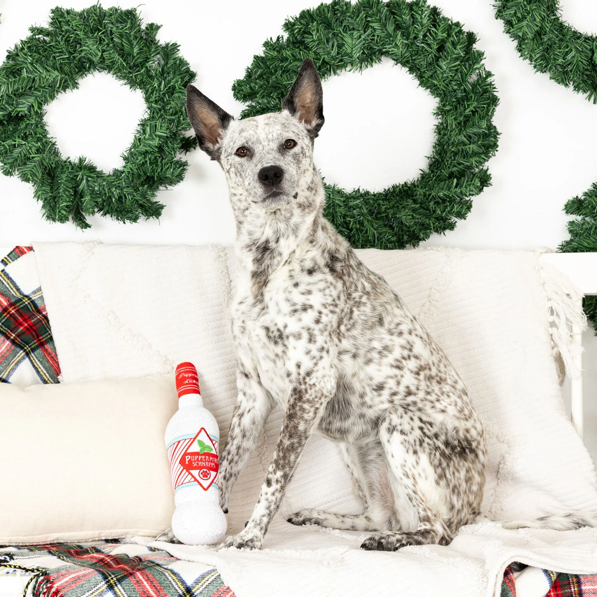 Fringe Peppermint Please Dog Toy