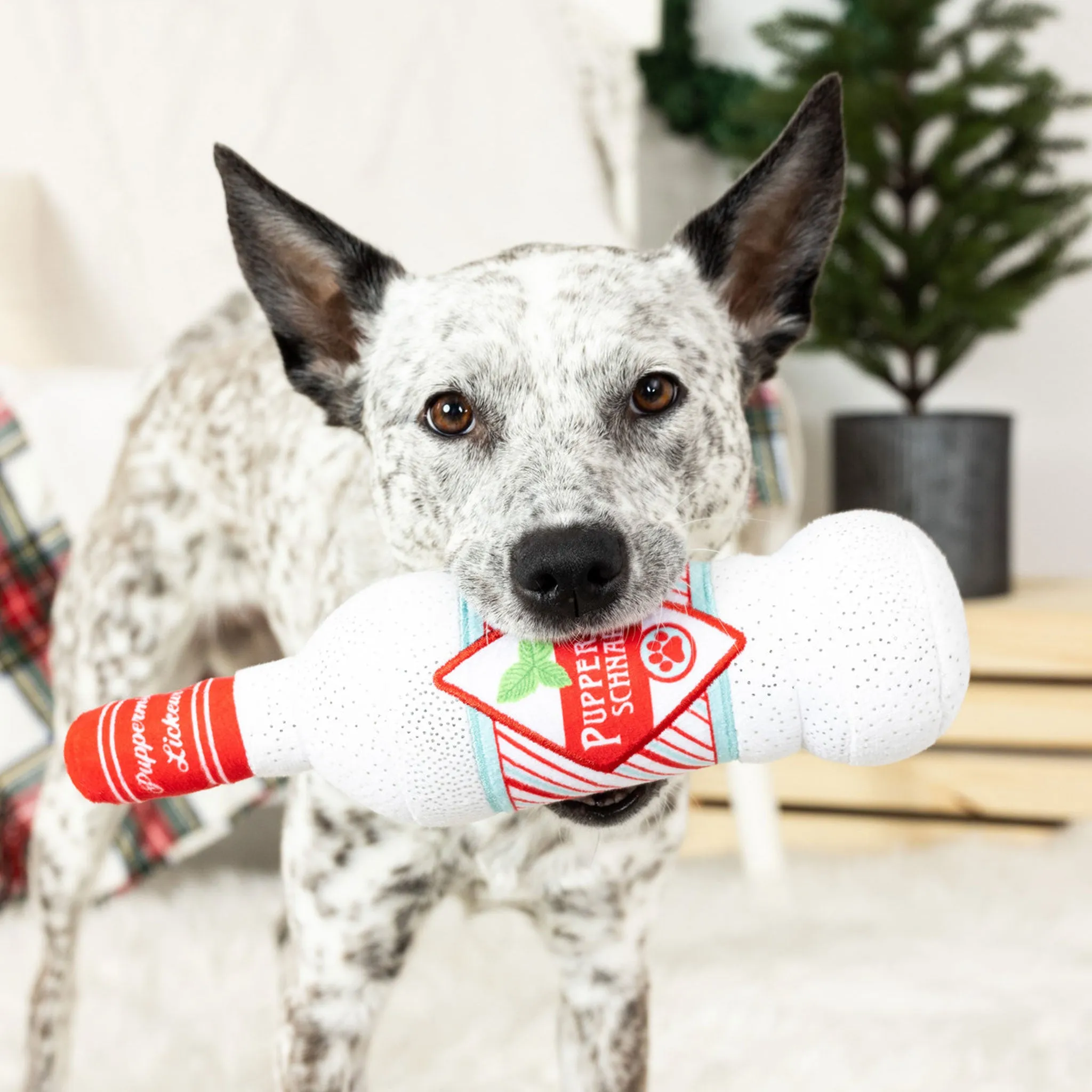 Fringe Peppermint Please Dog Toy