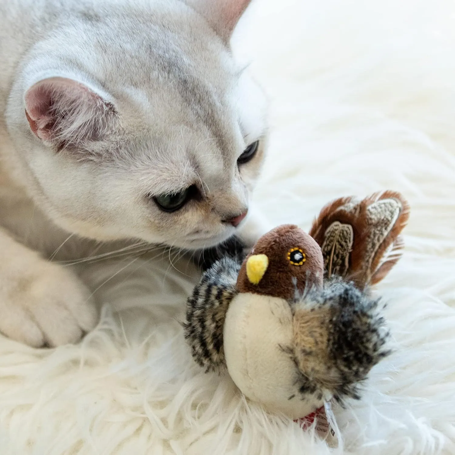 Gigwi Chirping Bird Cat Toys for Indoor Cats, Interactive Cat Toy with Real Electronic Squeaky Sound and Feather, Kitten Toys Automatic Cat Toy for Cat Exercise & Kicker to Self PlayNo Flapping