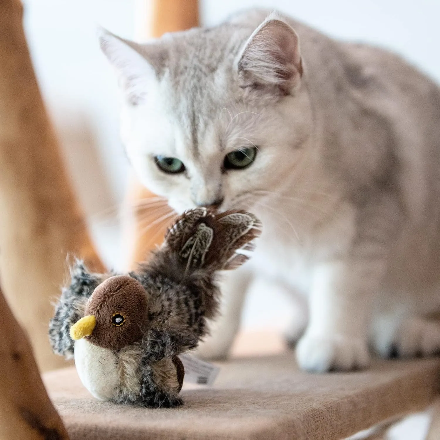 Gigwi Chirping Bird Cat Toys for Indoor Cats, Interactive Cat Toy with Real Electronic Squeaky Sound and Feather, Kitten Toys Automatic Cat Toy for Cat Exercise & Kicker to Self PlayNo Flapping