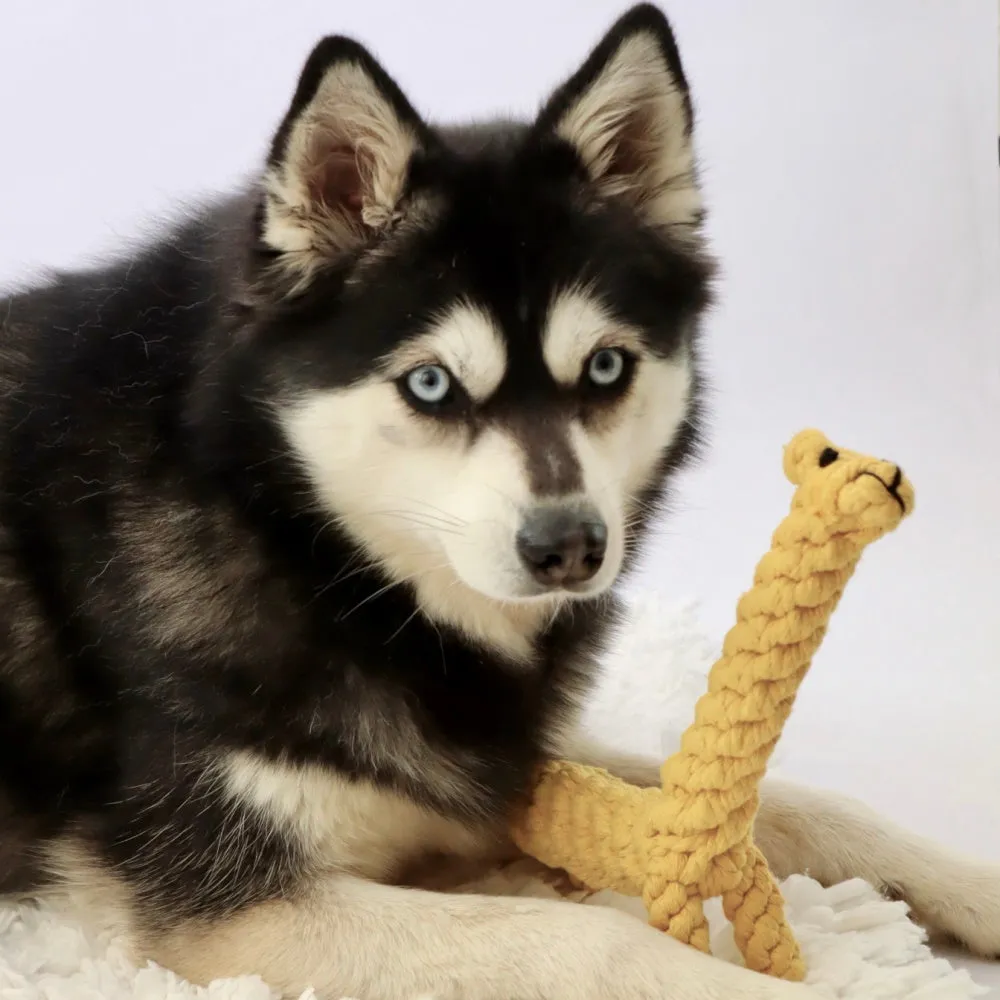 Giraffe Rope Dog Toy