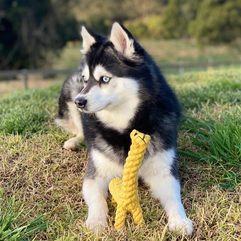 Giraffe Rope Dog Toy