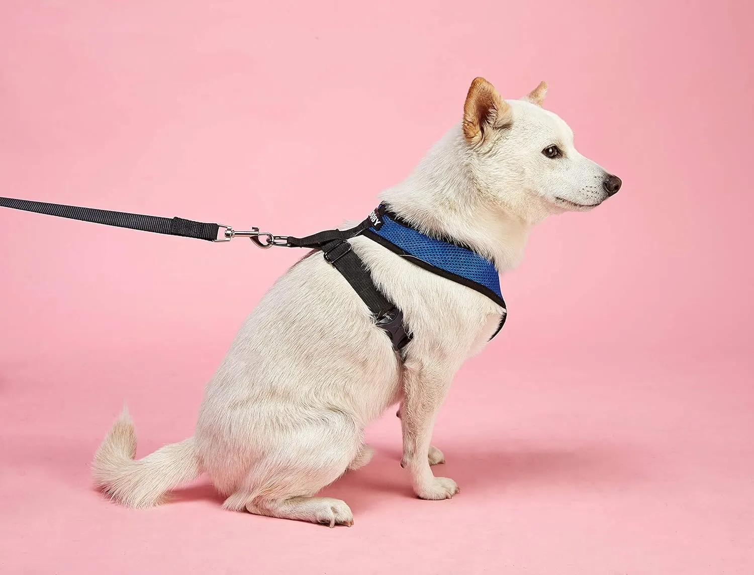 Gooby Comfort X Head-in Harness  Small Dog Harness for Toy Breeds (59 lbs), Pink, Small