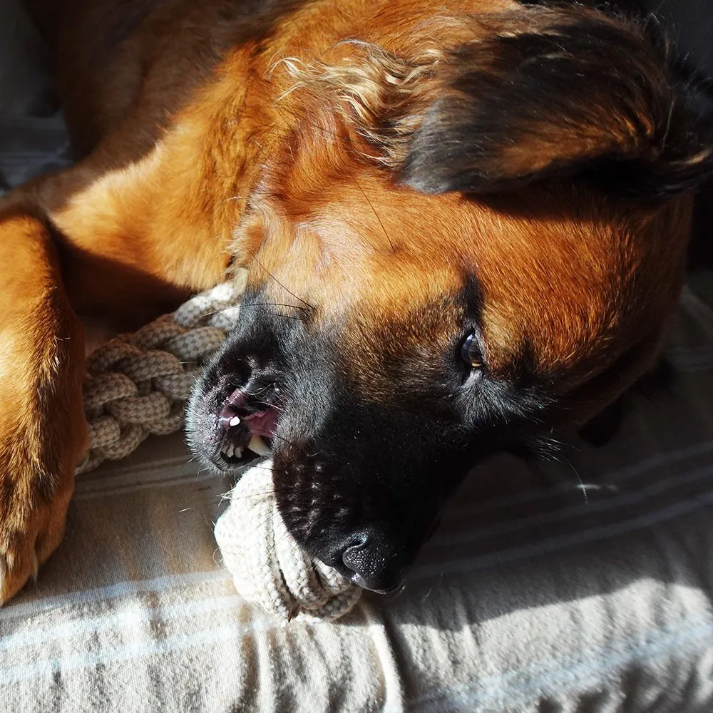 Indestructible & Sustainable Hemp Rope Ball Toy