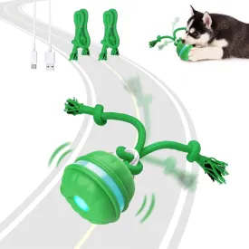 Interactive Dog Toys, Motion Activated Automatic Rolling Ball Toys, Wicked Ball, Squeaky Dog Toy for Small Dogs/Puppy