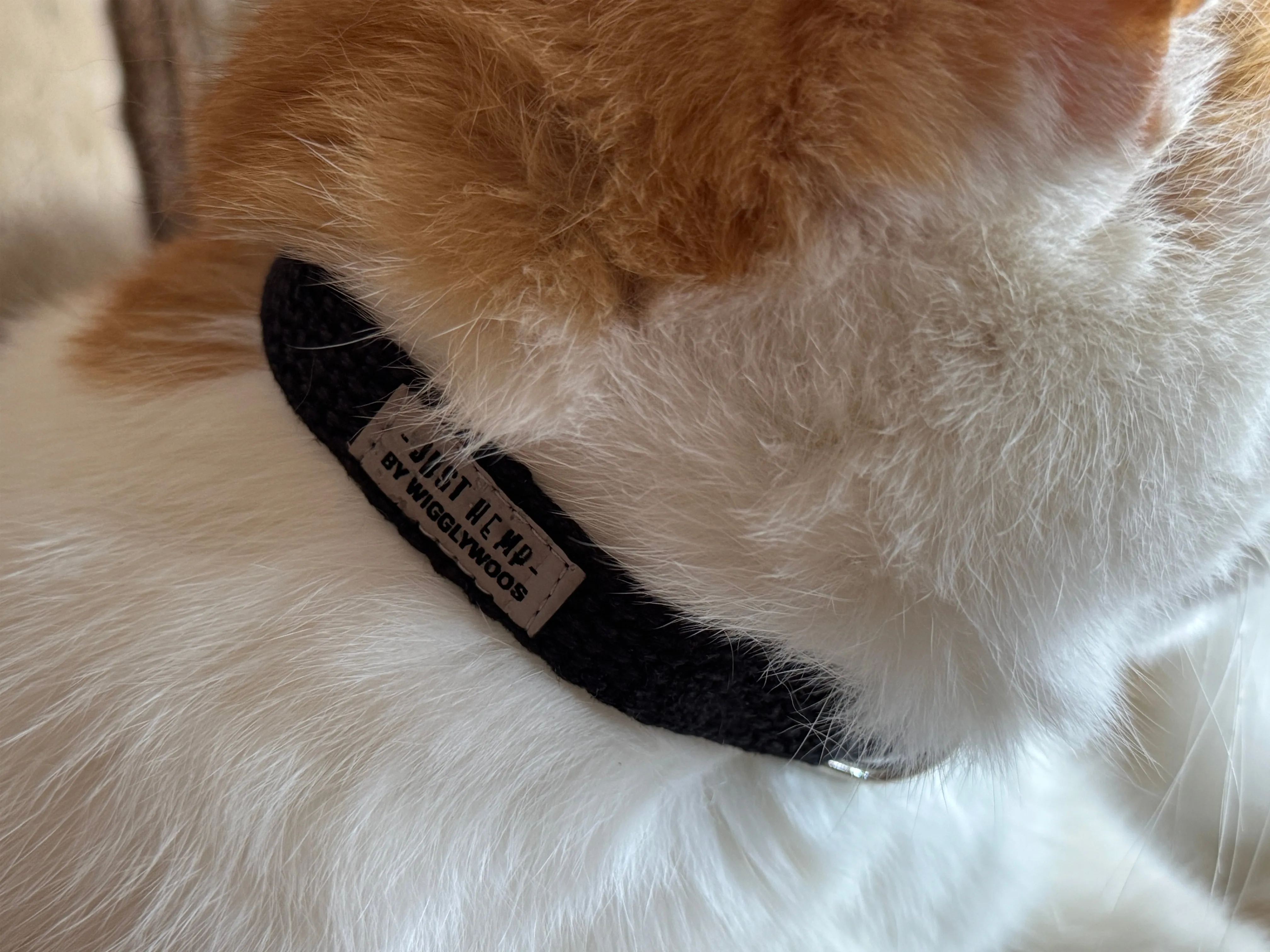 Just Hemp Black Cat Collar