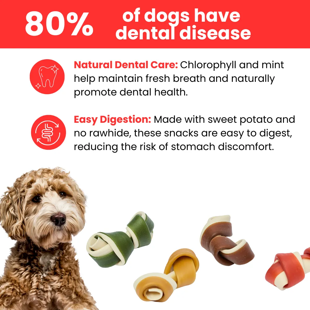 Kanu Pet Mini Bones Dog Treats