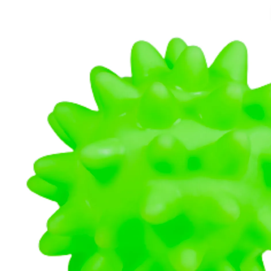 Kanu Pet Squeaky Ball Dog Toy