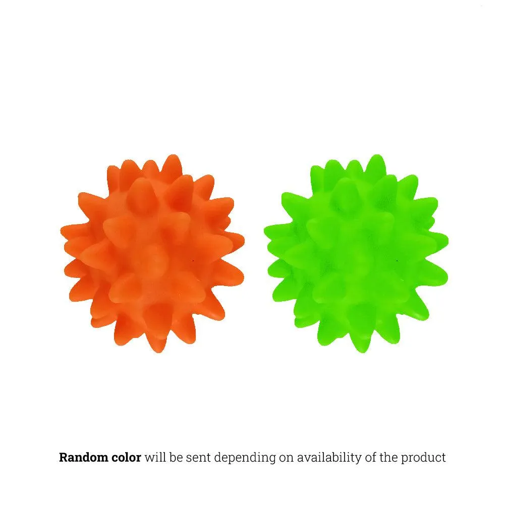 Kanu Pet Squeaky Ball Dog Toy