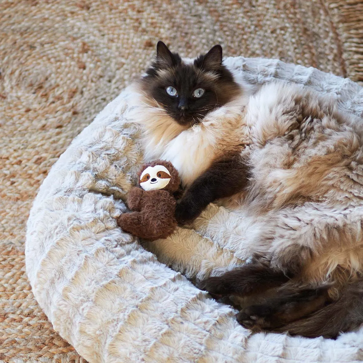 Kazoo Jungle Sloth Cat Toy