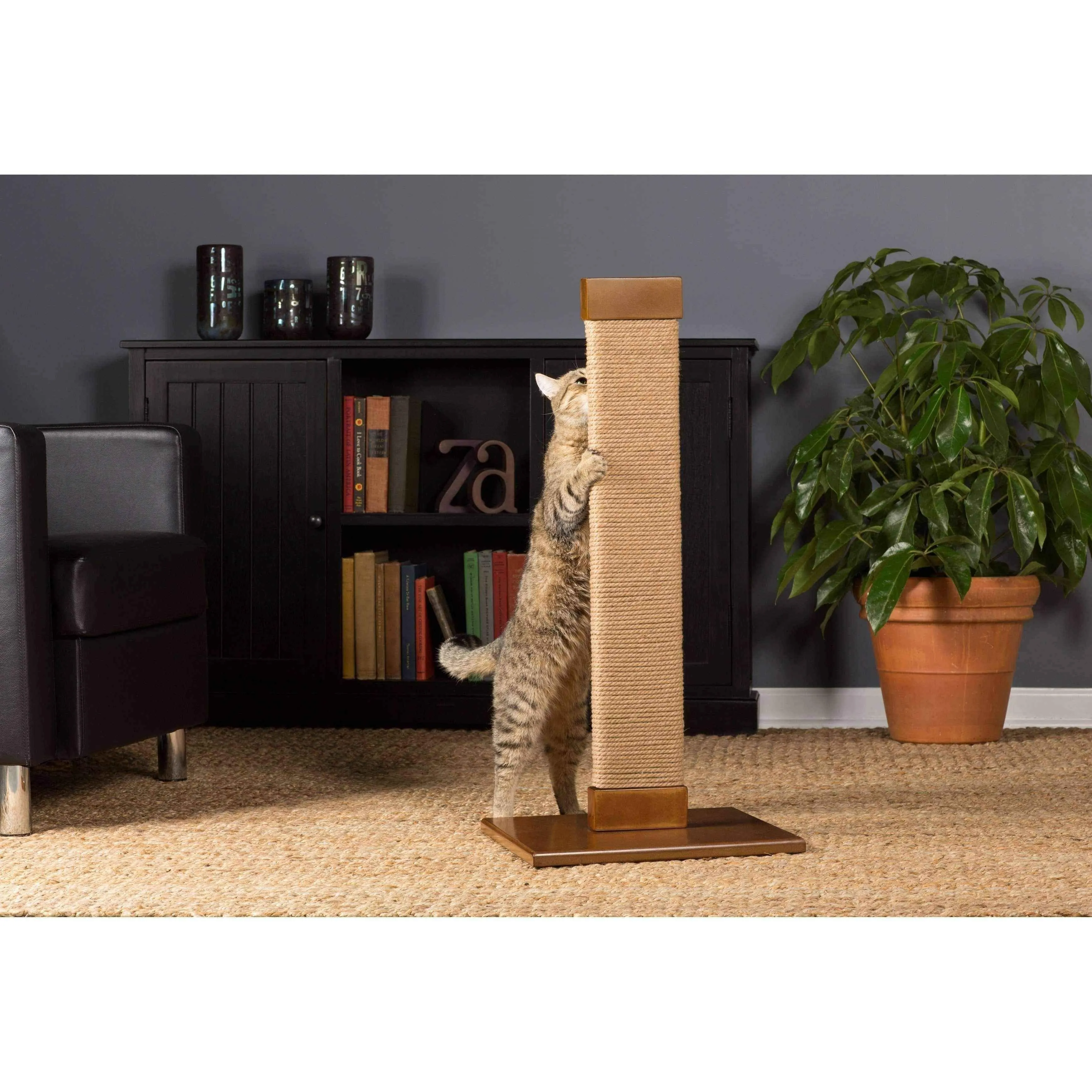 Kitty cat scratching post
