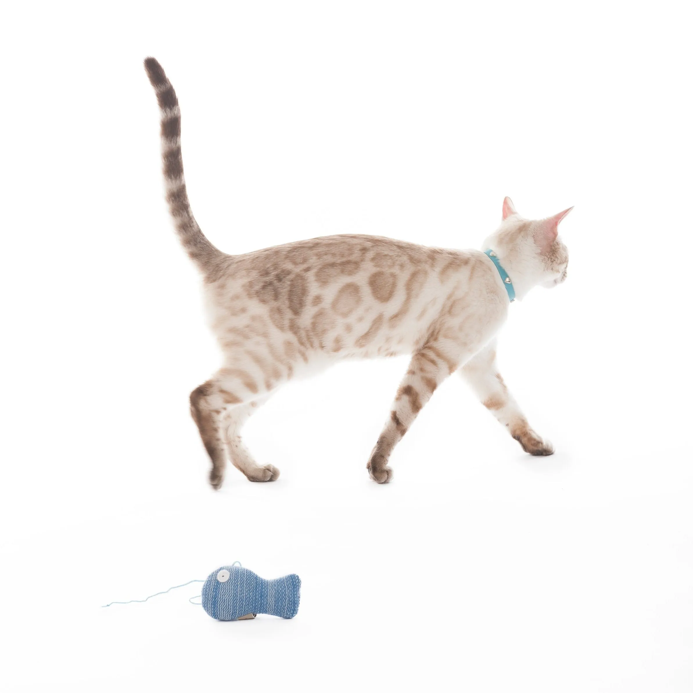 Knitted Fish Cat Toy