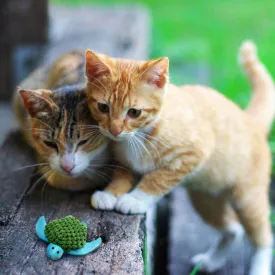 KONG Cat Catnip Refillable Turtle 11cm