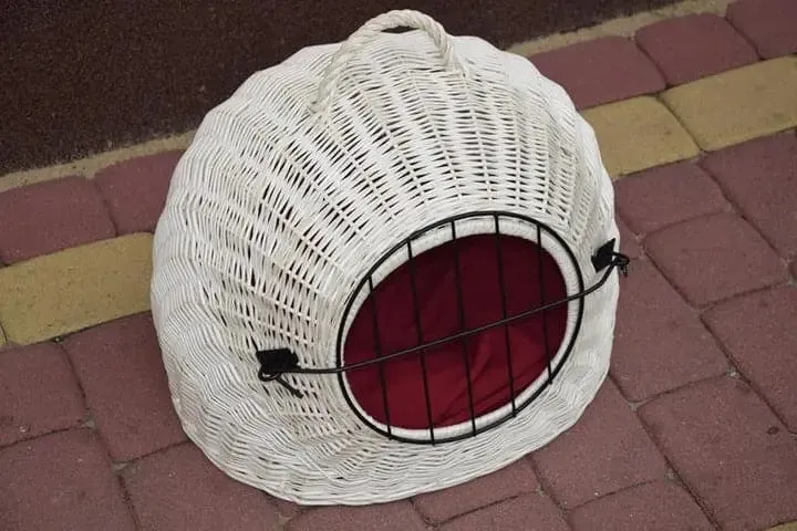 Large wicker white carrier with cushion