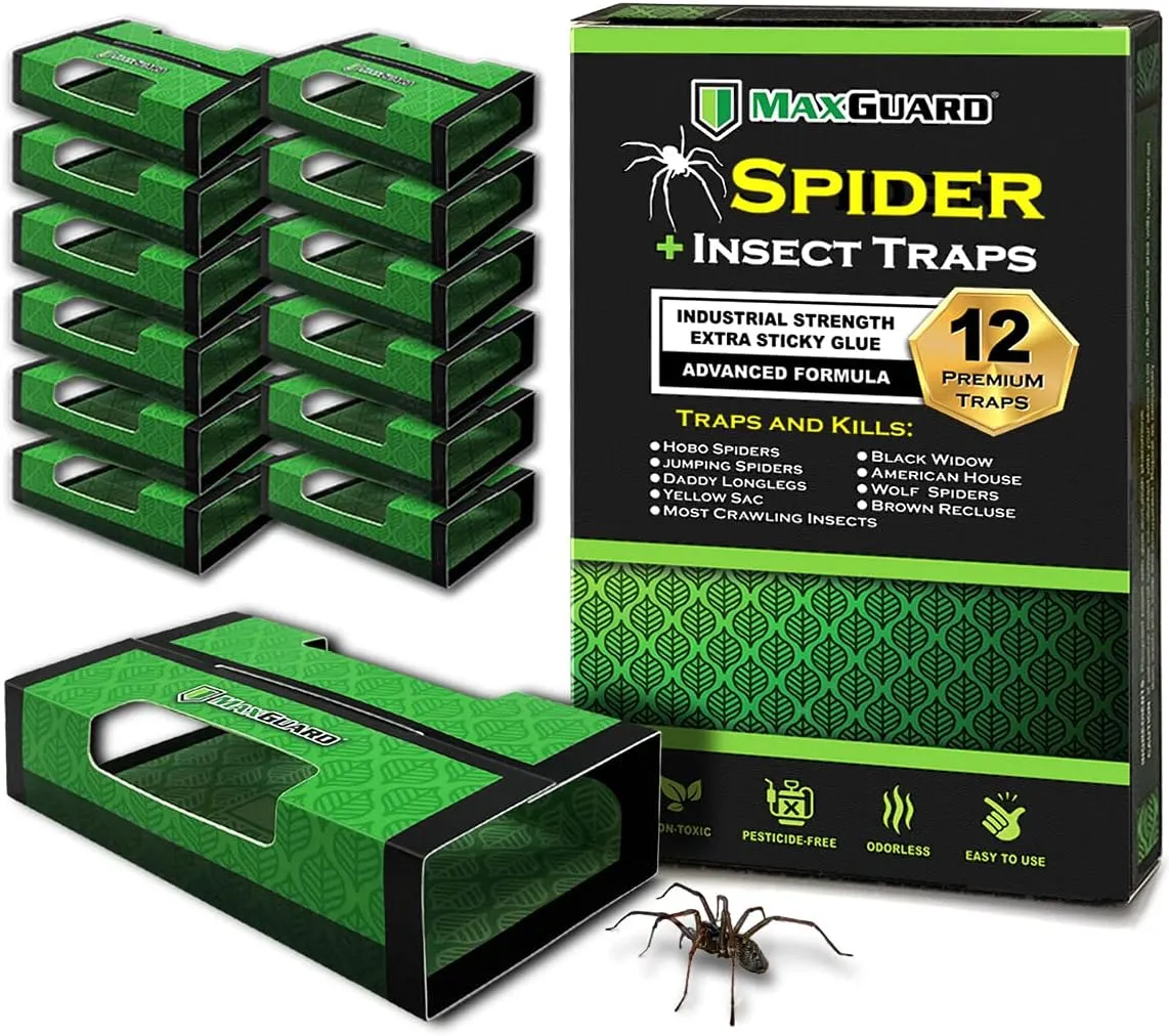 MaxGuard Spider   Insect Traps (12 pcs Box Trap) | Non-Toxic Extra Sticky Glue Traps, Kill Black Widow Hobo Brown Recluse Spiders and Other Crawling Bugs & Insects |