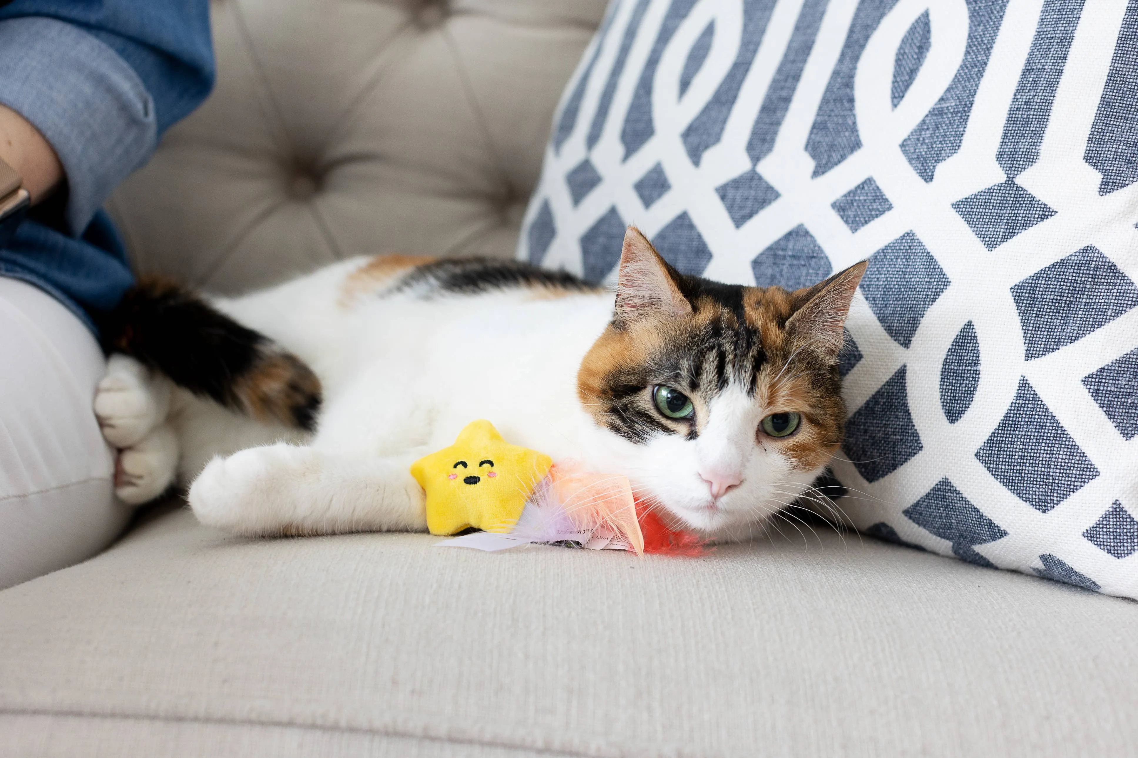 Outer Space Cat Toys Set