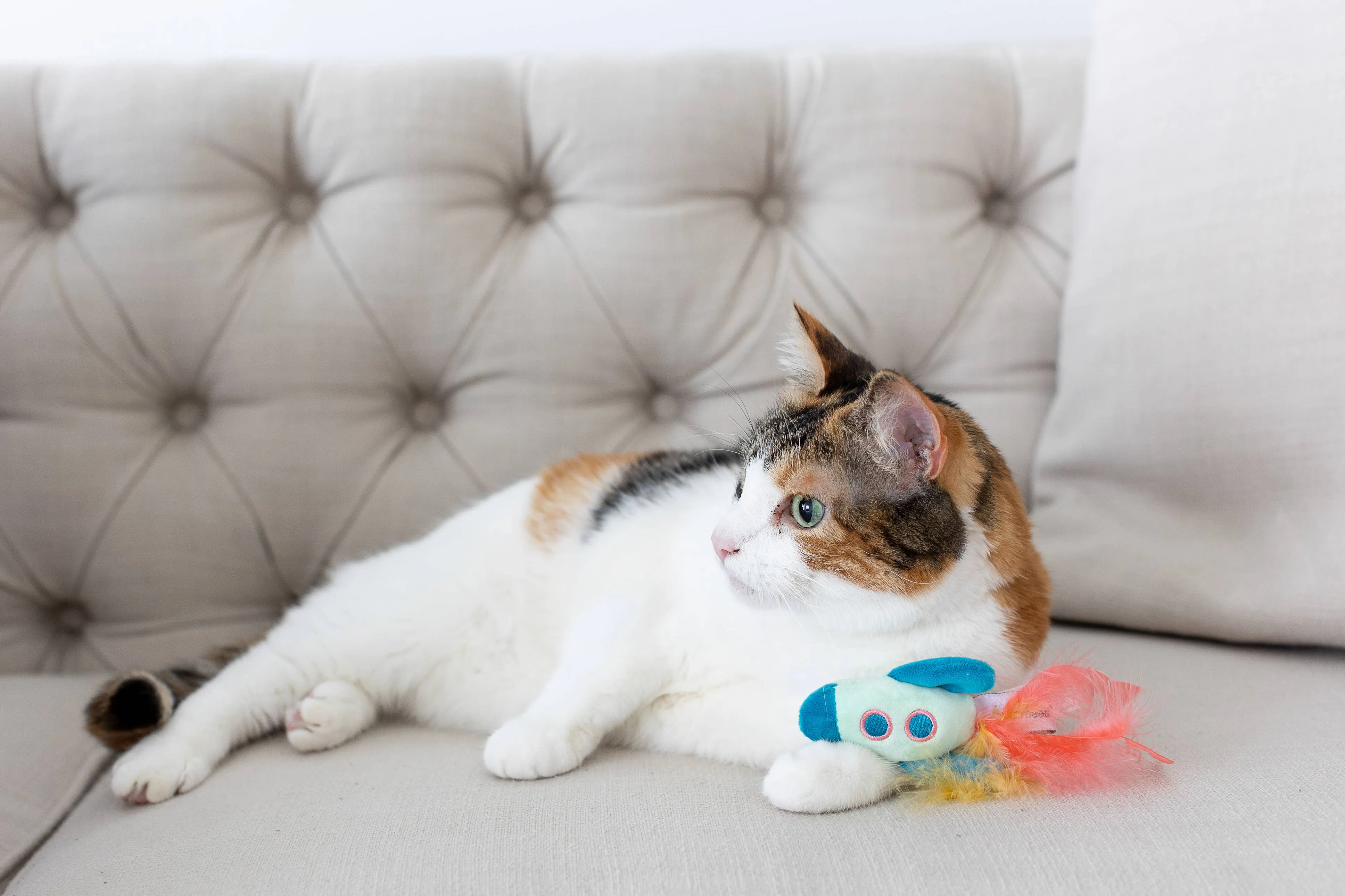 Outer Space Cat Toys Set