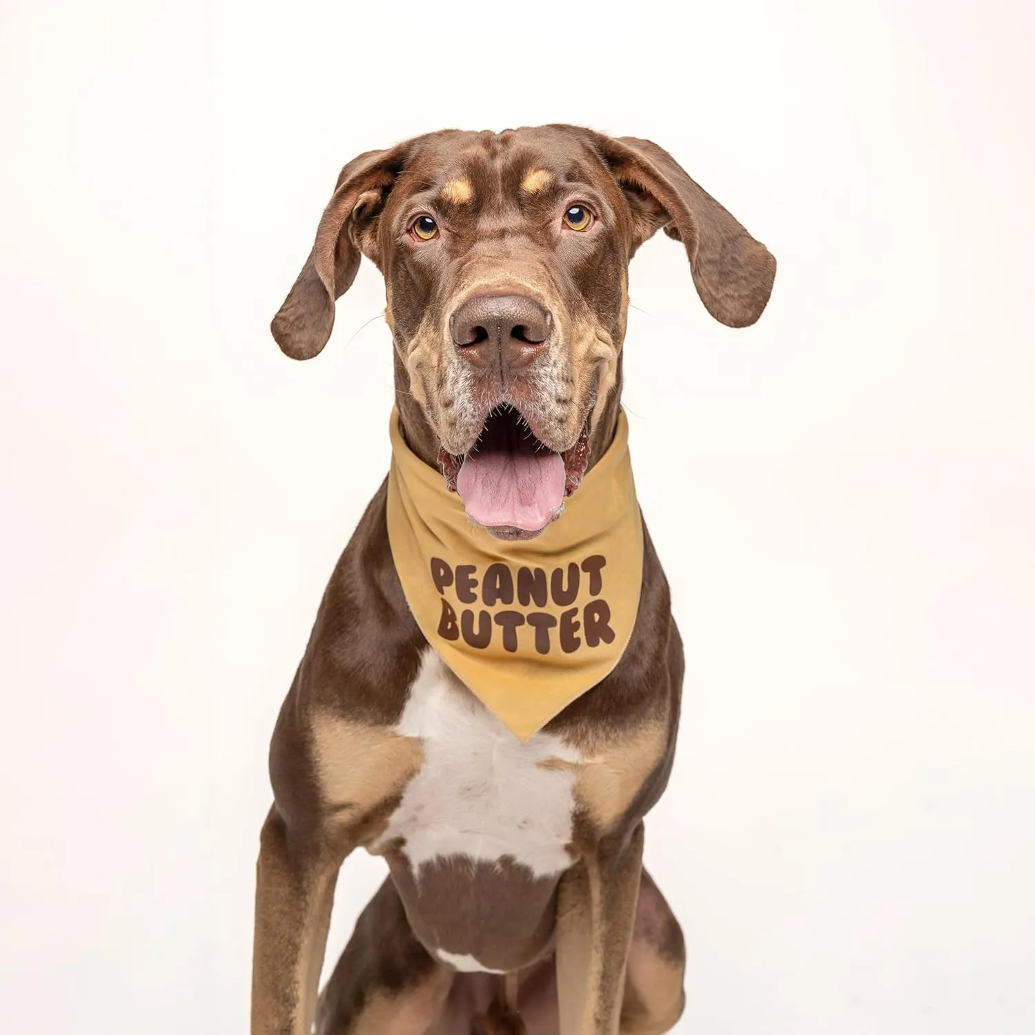 Peanut Butter & Jelly Dog Bandana 2 Pack Set | 100% Cotton Triangle | Made in USA | Halloween Costume | Skeleton | Monster | Parade Party | Trick or Treat | (Sold Together) (857 & 877)