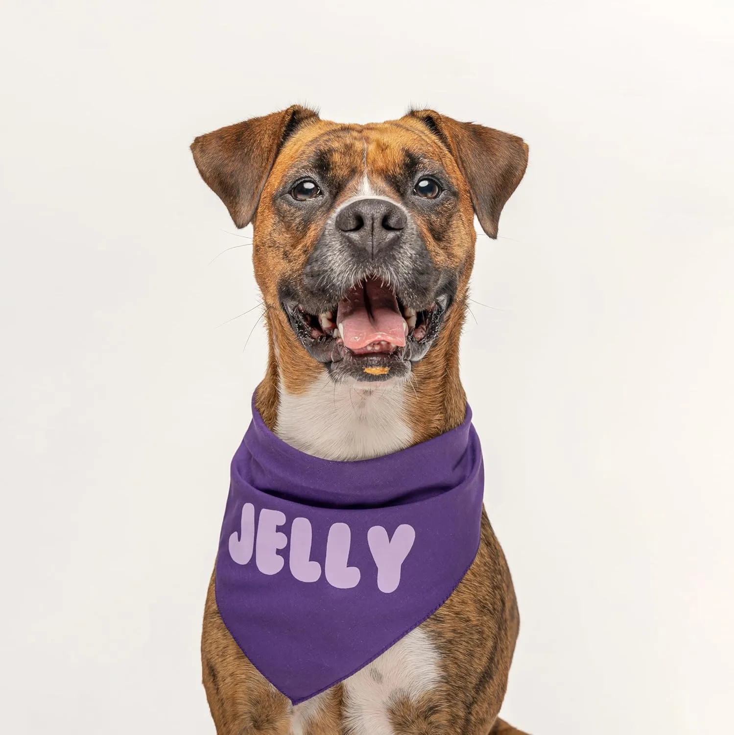 Peanut Butter & Jelly Dog Bandana 2 Pack Set | 100% Cotton Triangle | Made in USA | Halloween Costume | Skeleton | Monster | Parade Party | Trick or Treat | (Sold Together) (857 & 877)
