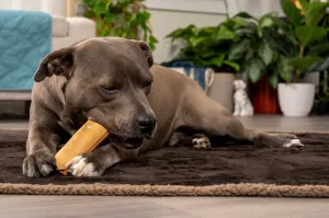 Pet Factory - CareChewz Collagen Wraps 6" Dog Treats