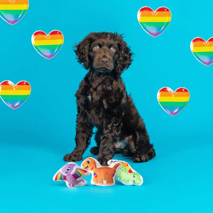 *Pet Toy - BORN THIS WAY DOG TOY