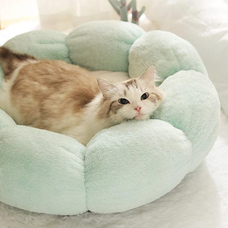 Petal Purr Fancy Cat Bed