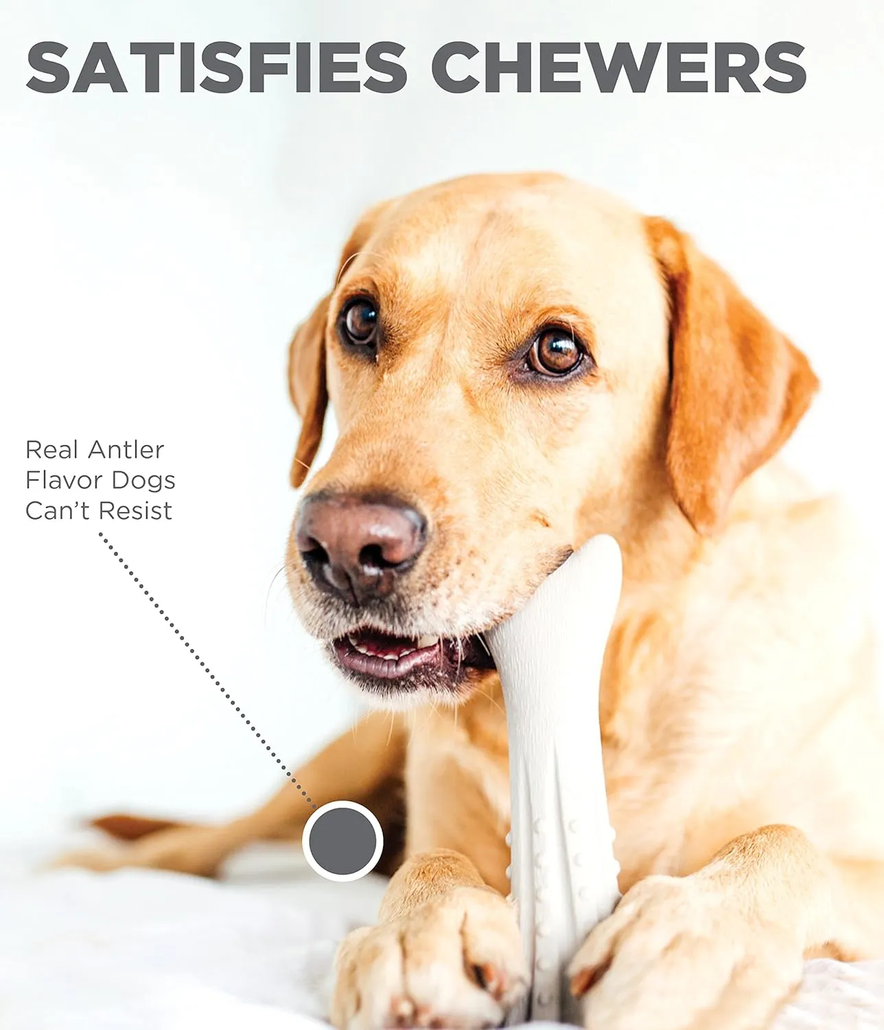 Petstages Deerhorn Antler Alternative Dog Chew Toy, Medium