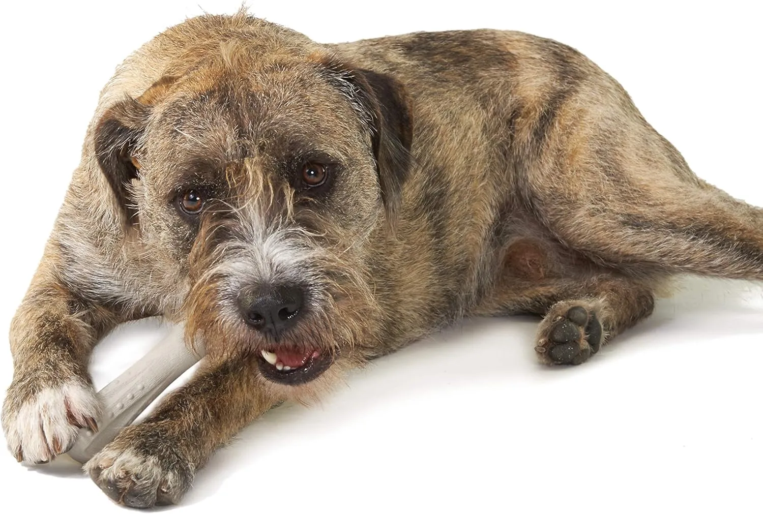 Petstages Deerhorn Antler Alternative Dog Chew Toy, Medium
