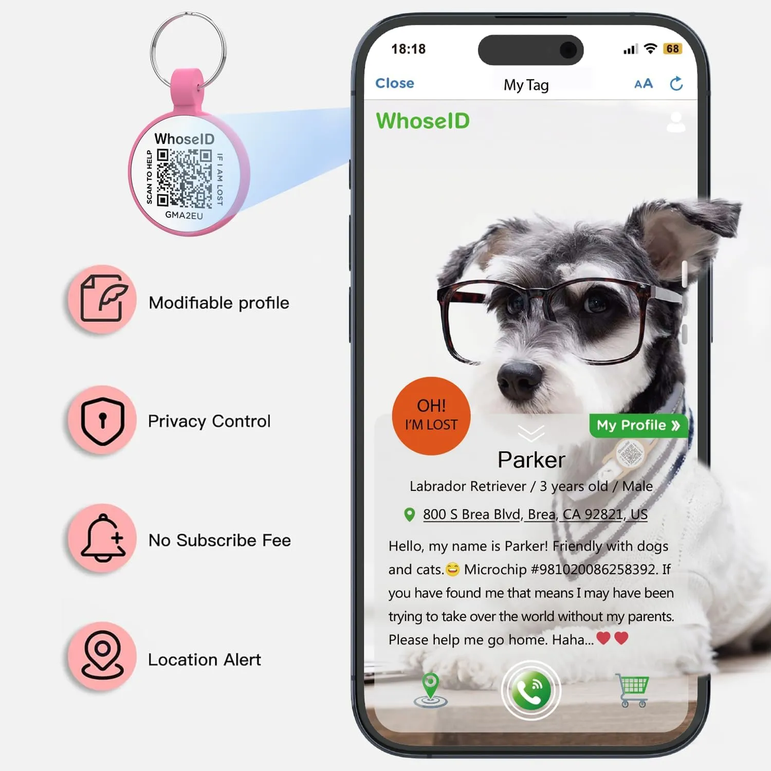 QR Code Dog Tag, QR Code Pet ID Tag, Dog ID Tag, Small Cat for Kitten and Puppy, Modifiable Free Online Profile, Scan QR Code Send Instant Location Alert Email (Rose, Regular)