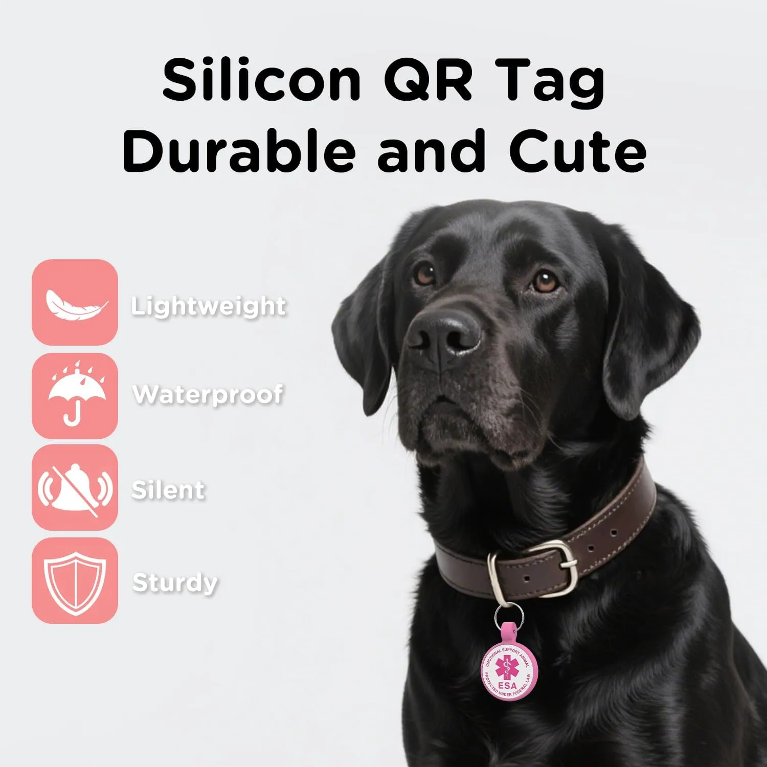 QR Code Dog Tag, QR Code Pet ID Tag, Dog ID Tag, Small Cat for Kitten and Puppy, Modifiable Free Online Profile, Scan QR Code Send Instant Location Alert Email (Rose, Regular)