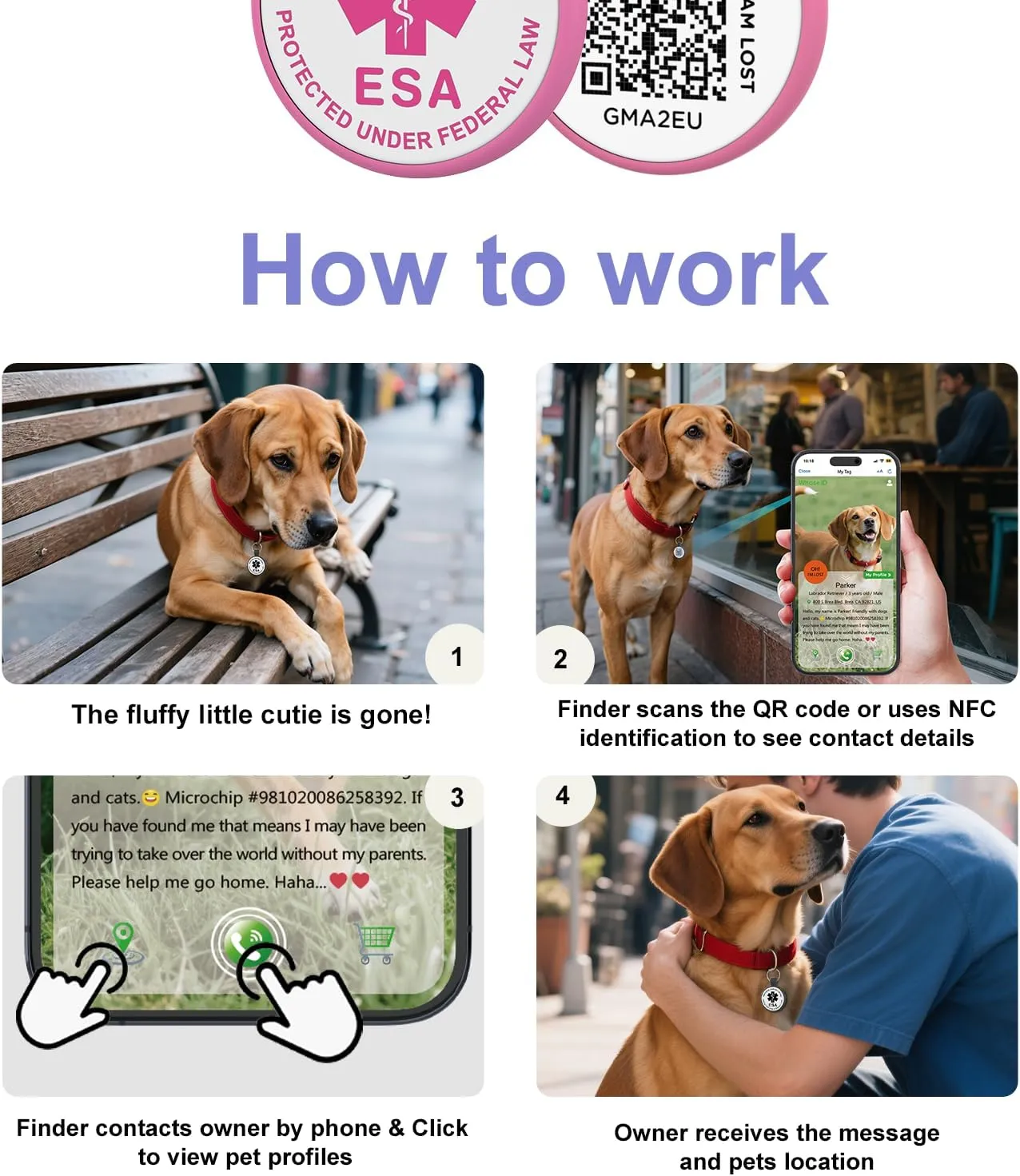 QR Code Dog Tag, QR Code Pet ID Tag, Dog ID Tag, Small Cat for Kitten and Puppy, Modifiable Free Online Profile, Scan QR Code Send Instant Location Alert Email (Rose, Regular)