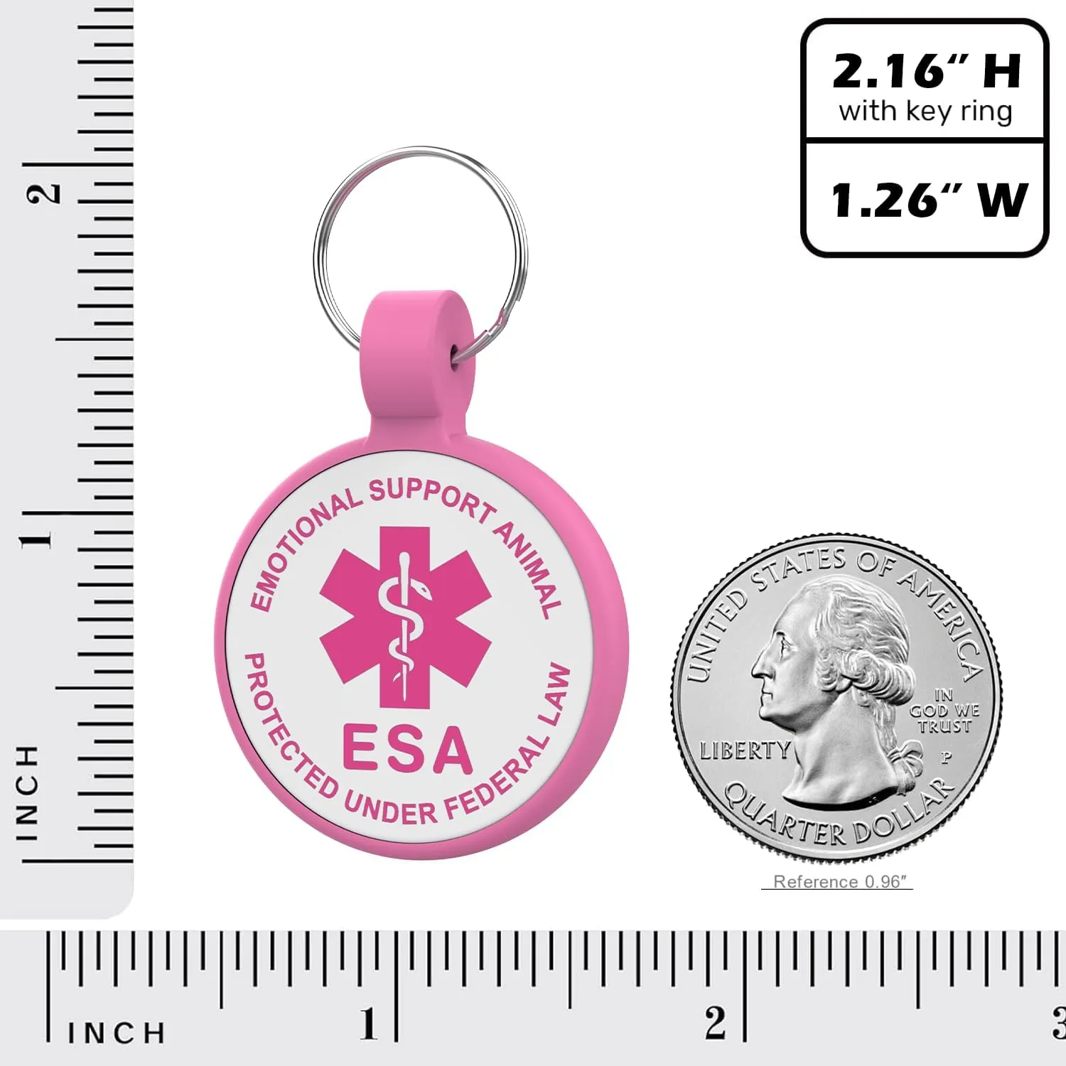 QR Code Dog Tag, QR Code Pet ID Tag, Dog ID Tag, Small Cat for Kitten and Puppy, Modifiable Free Online Profile, Scan QR Code Send Instant Location Alert Email (Rose, Regular)