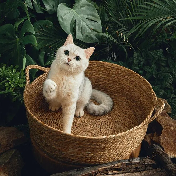 Rattan Cat Bed