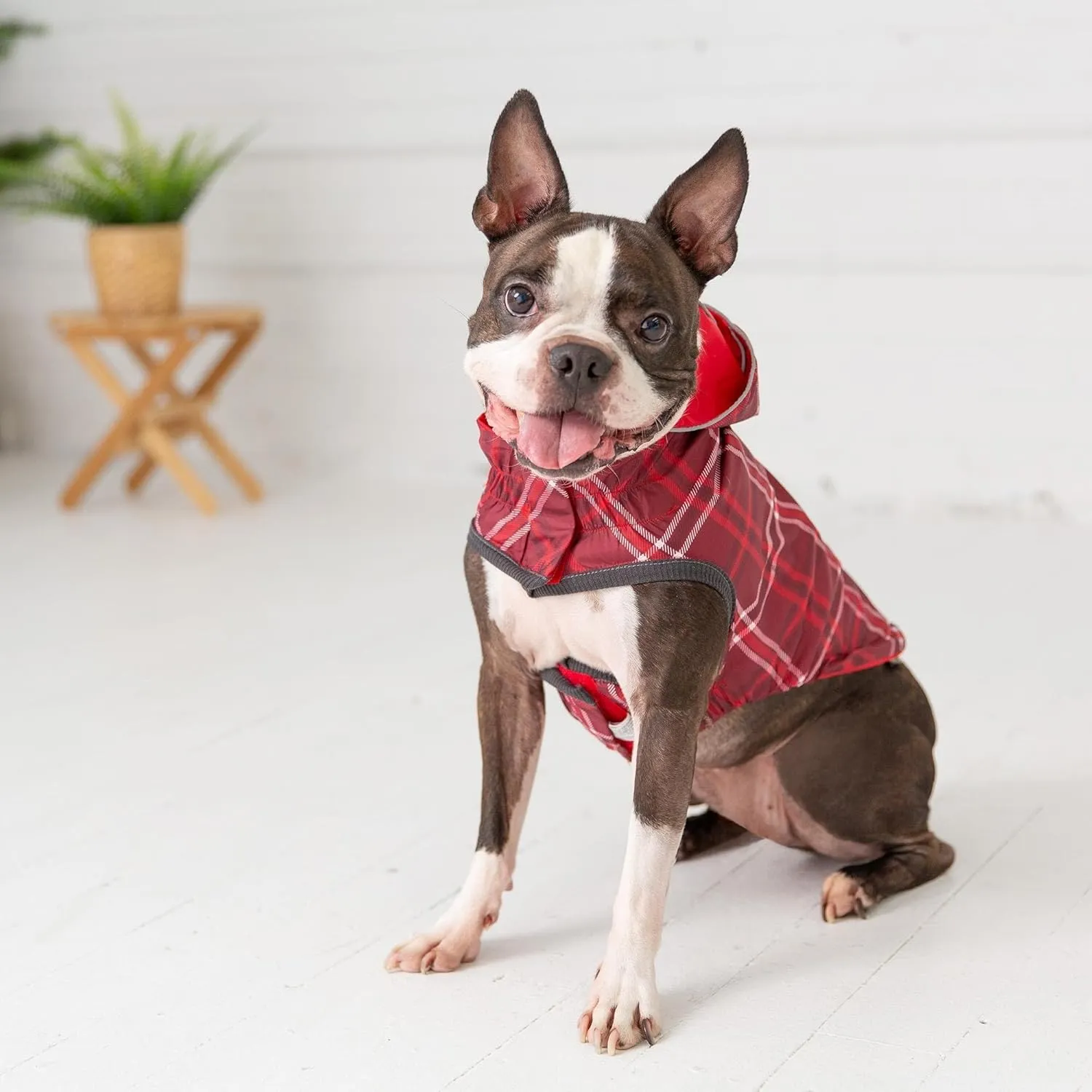 Reversible Raincoat (X-Large, Red)