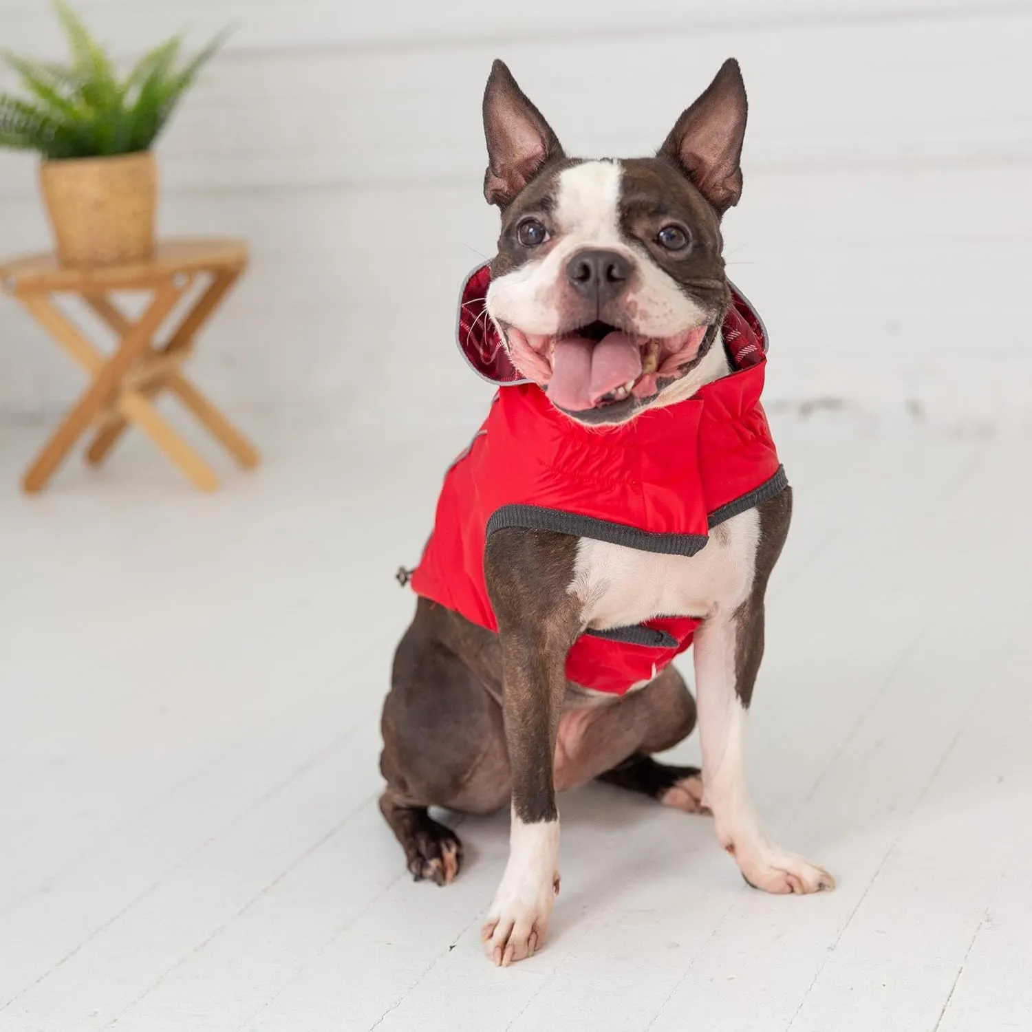 Reversible Raincoat (X-Large, Red)