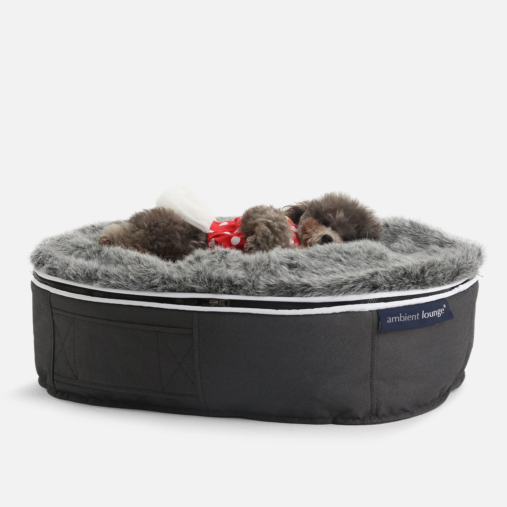 Small Luxury Dog Bed - Interior/Outdoor