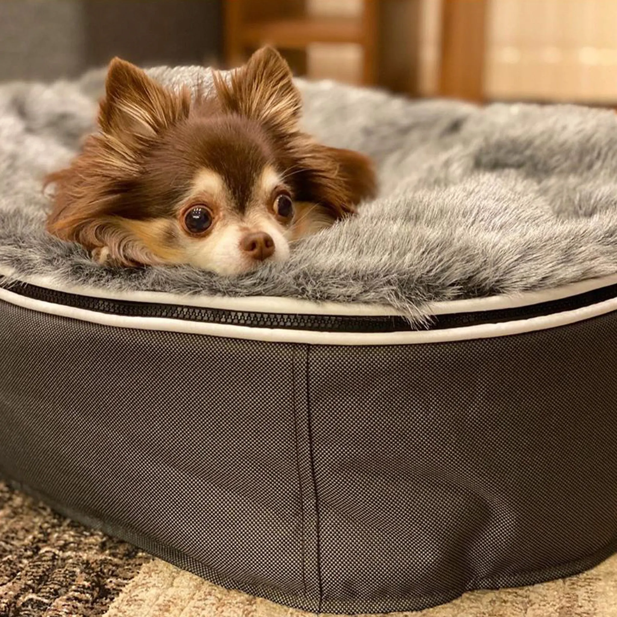 Small Luxury Dog Bed - Interior/Outdoor