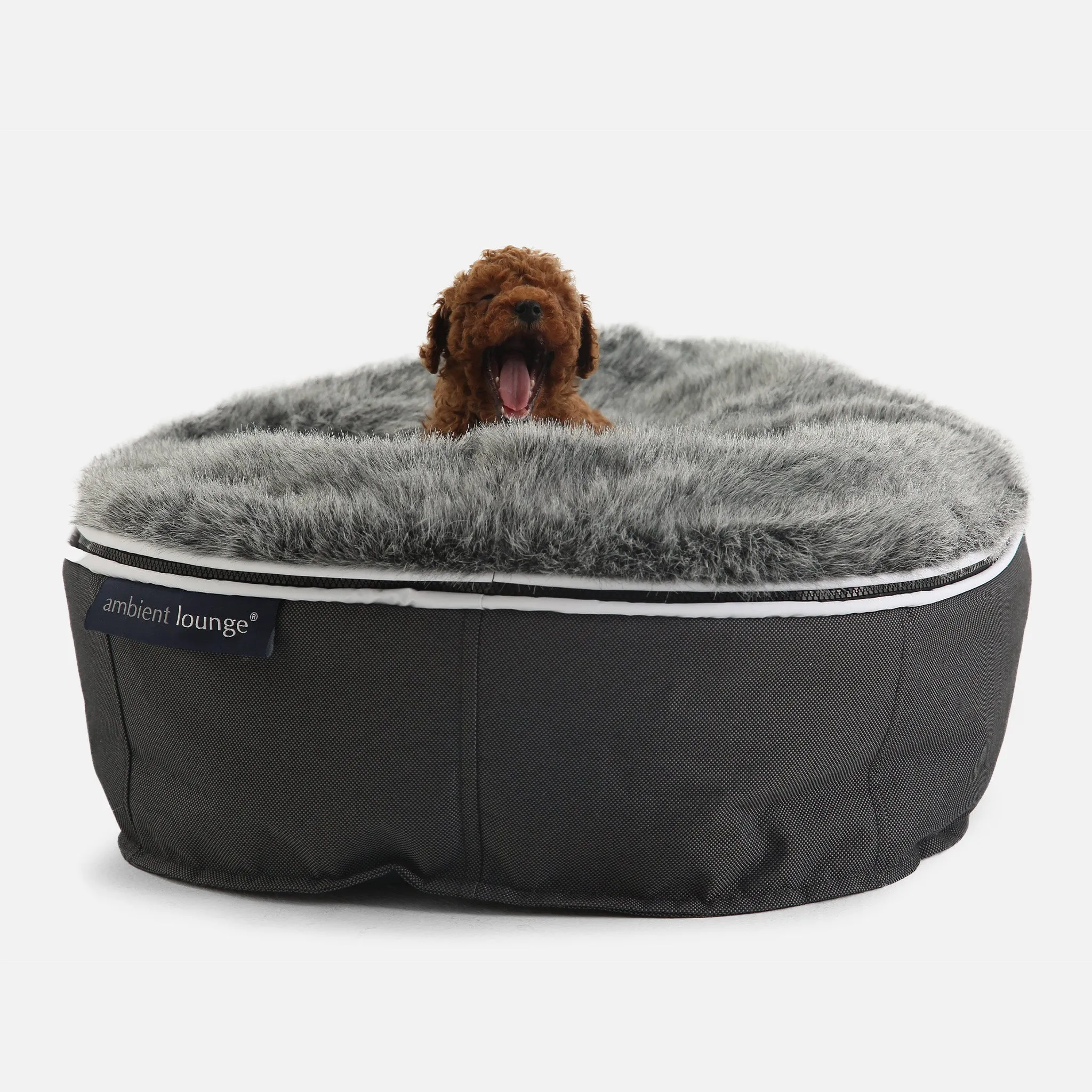 Small Luxury Dog Bed - Interior/Outdoor