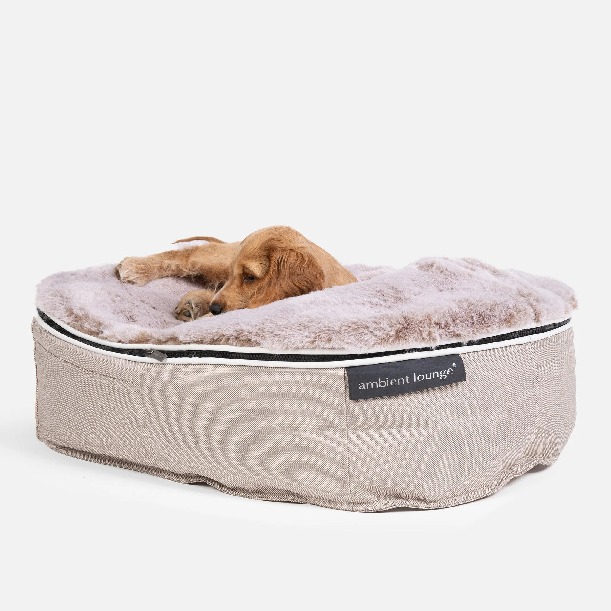 Small Luxury Dog Bed - Interior/Outdoor