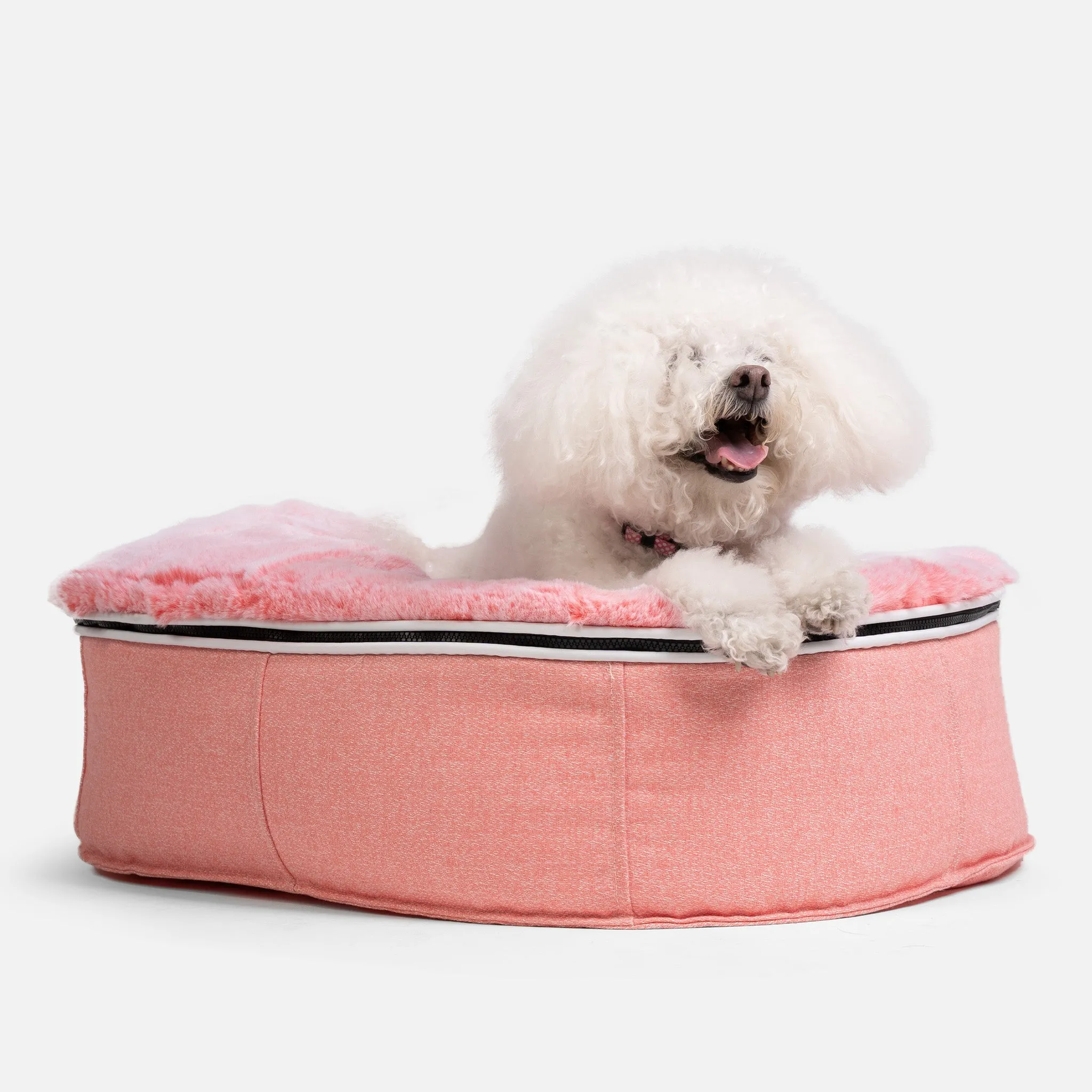 Small Luxury Dog Bed - Interior/Outdoor