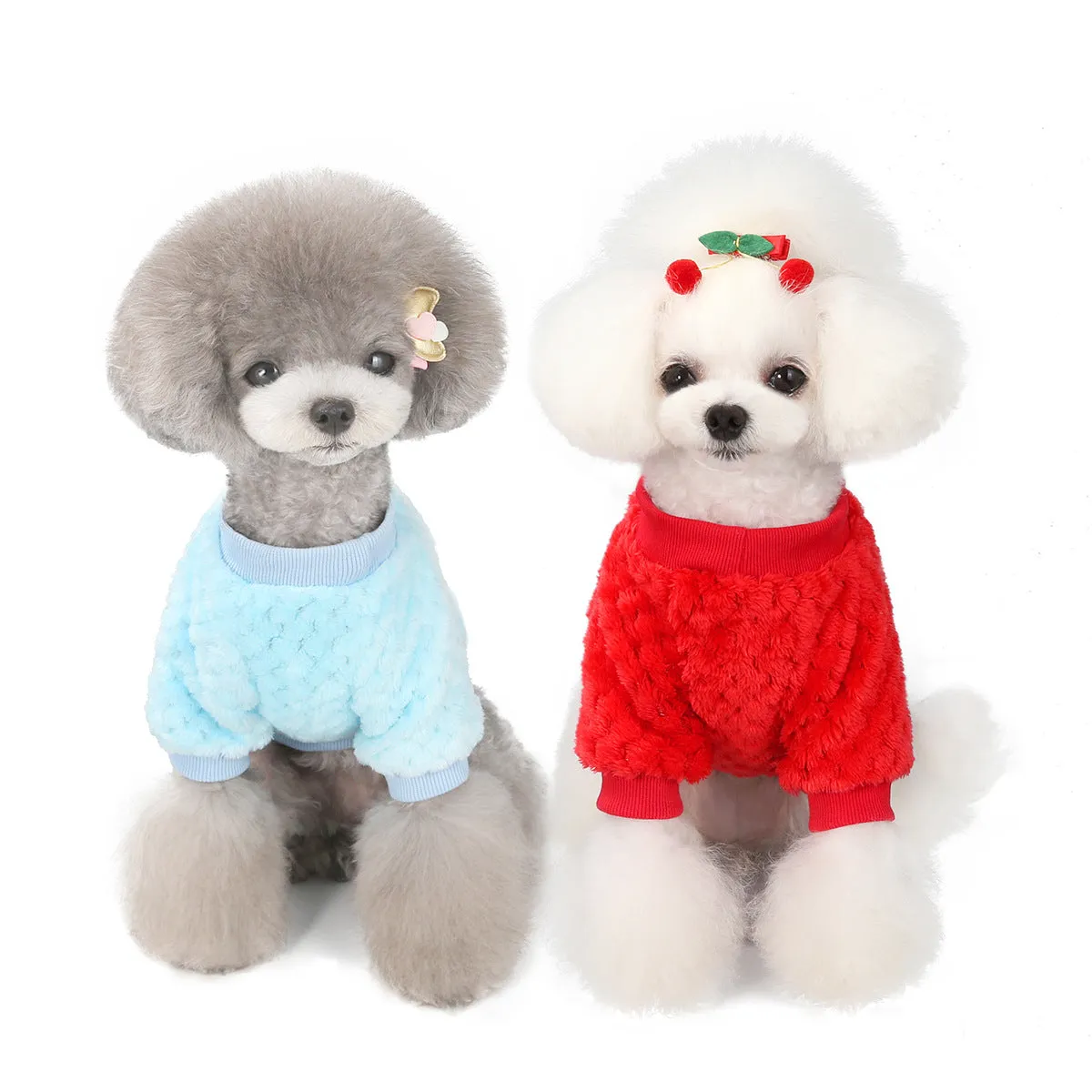 small size dogs autumn soft pet clothing