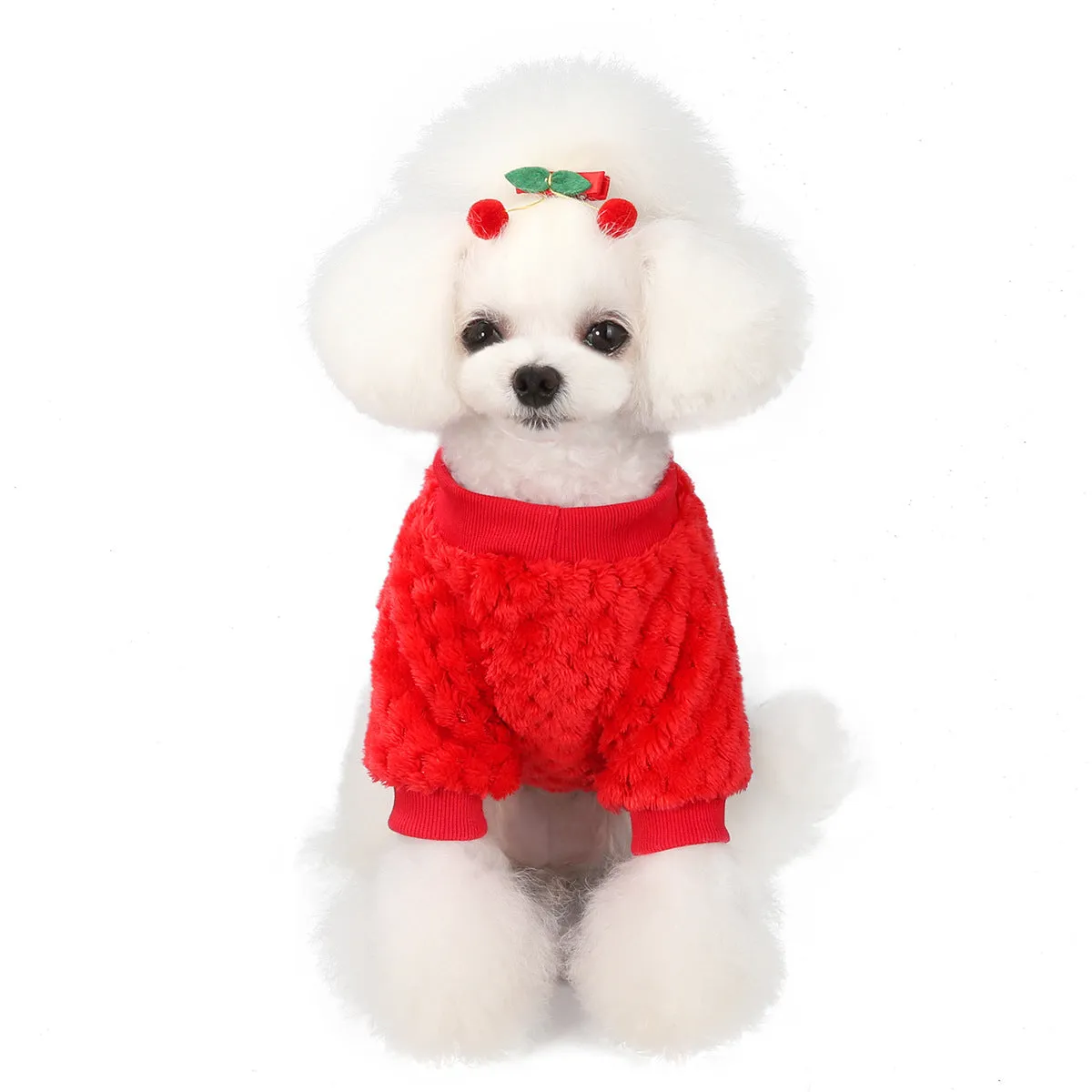 small size dogs autumn soft pet clothing