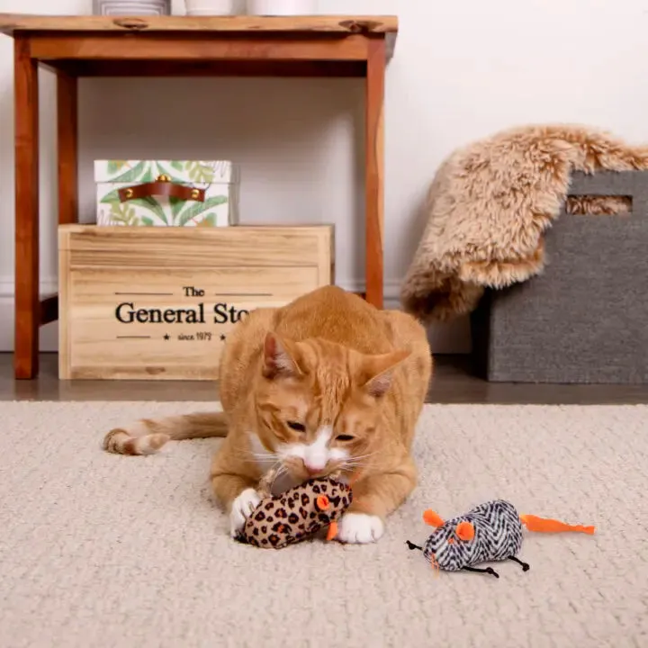 SmartyKat Instincts Safari Creepers™ Refillable Plush Rat Cat Toys with 2 oz Tube of HappyNip® Catnip & Silvervine (Small)
