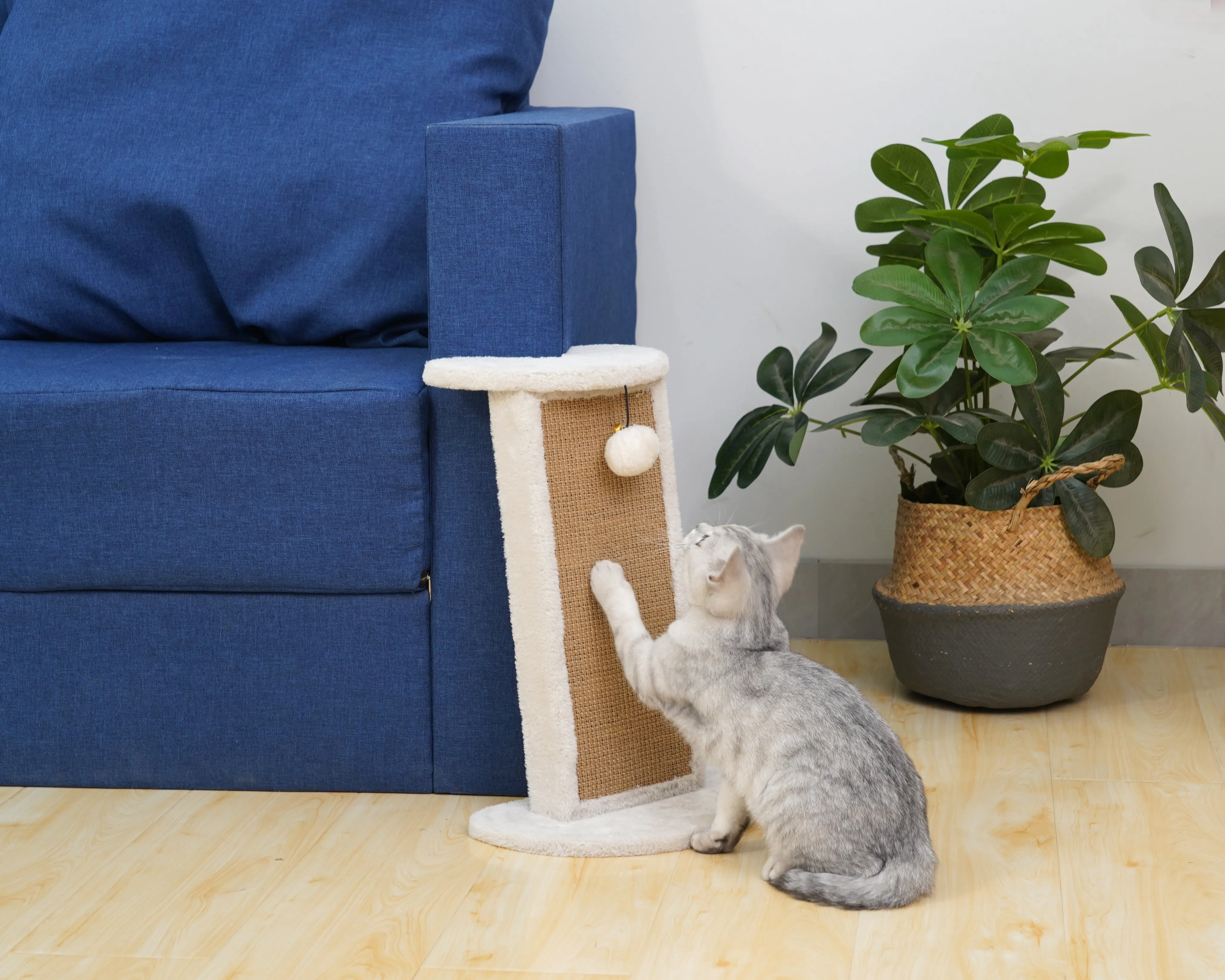 Vanilla 2-Pack Cat Scratcher