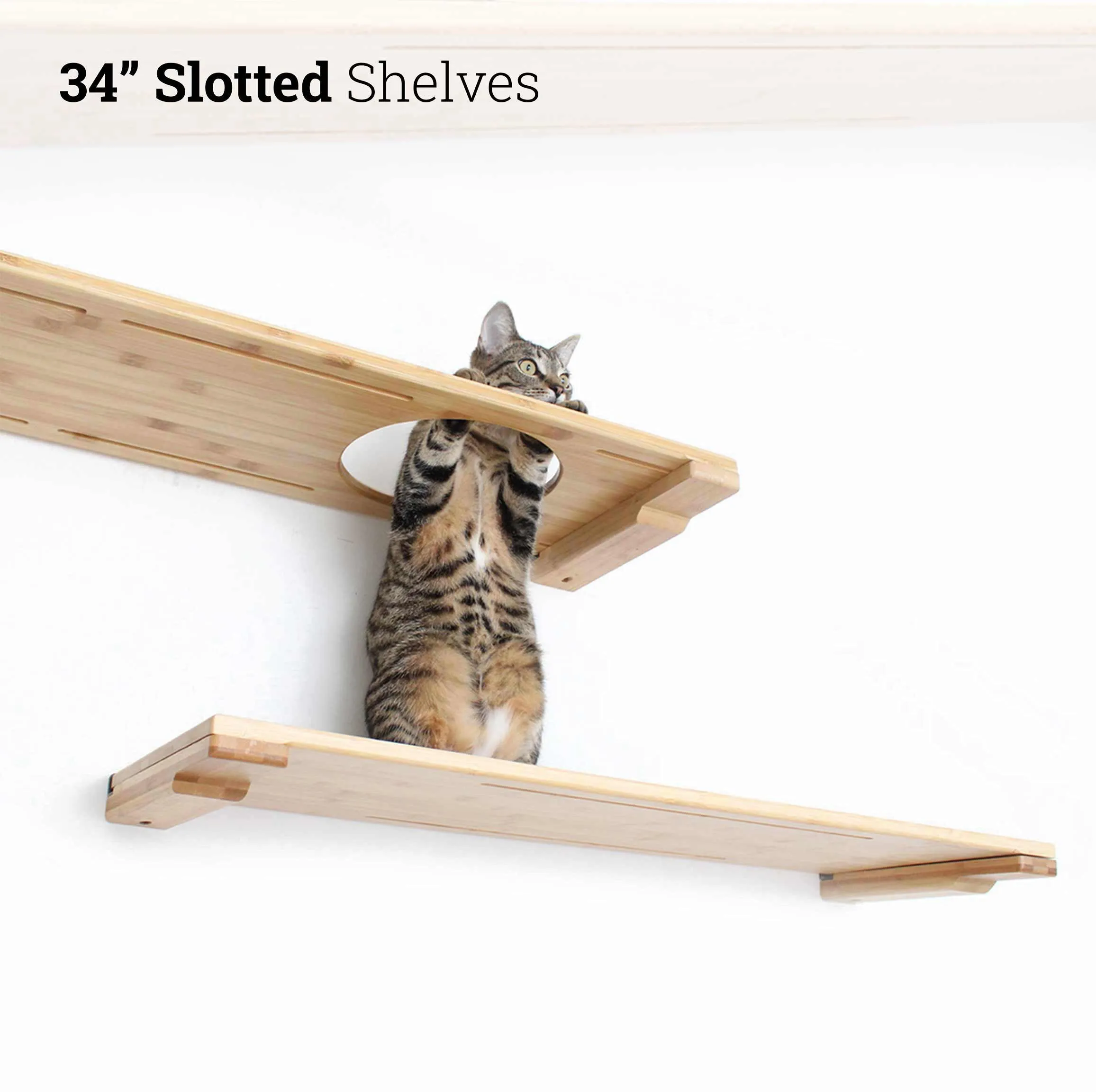 Wall-Mounted Cat Shelf