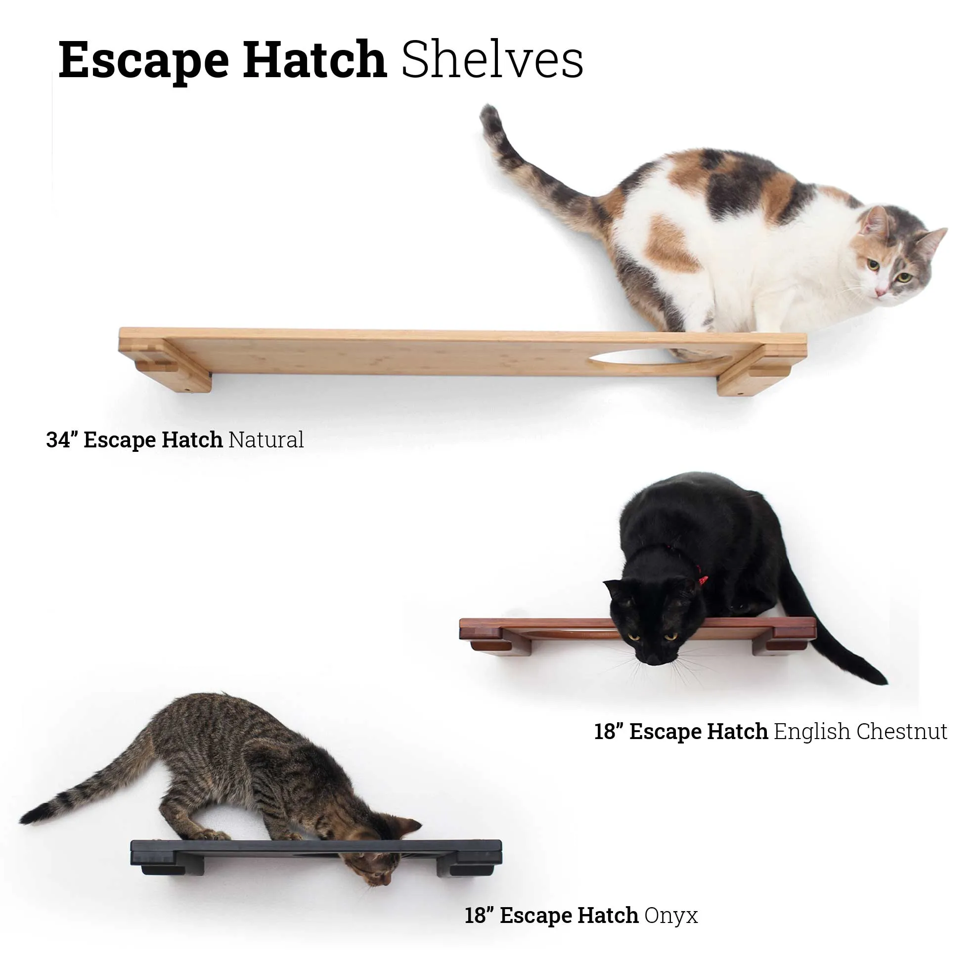 Wall-Mounted Cat Shelf