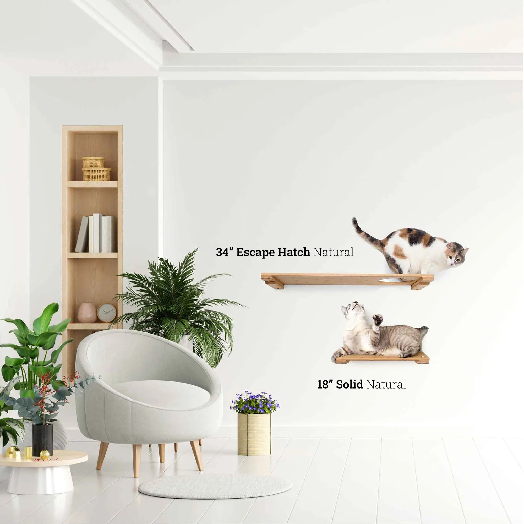 Wall-Mounted Cat Shelf