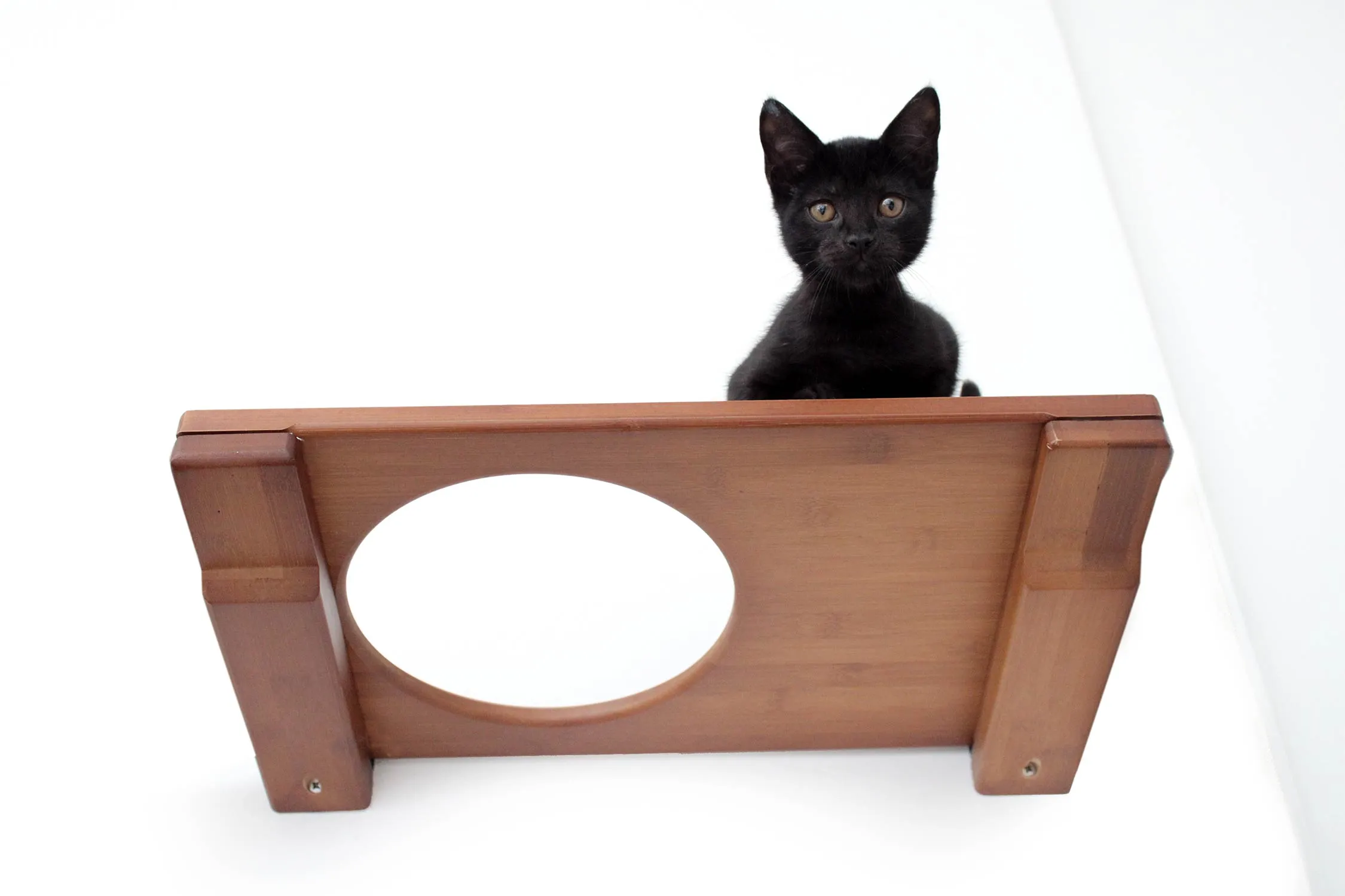 Wall-Mounted Cat Shelf